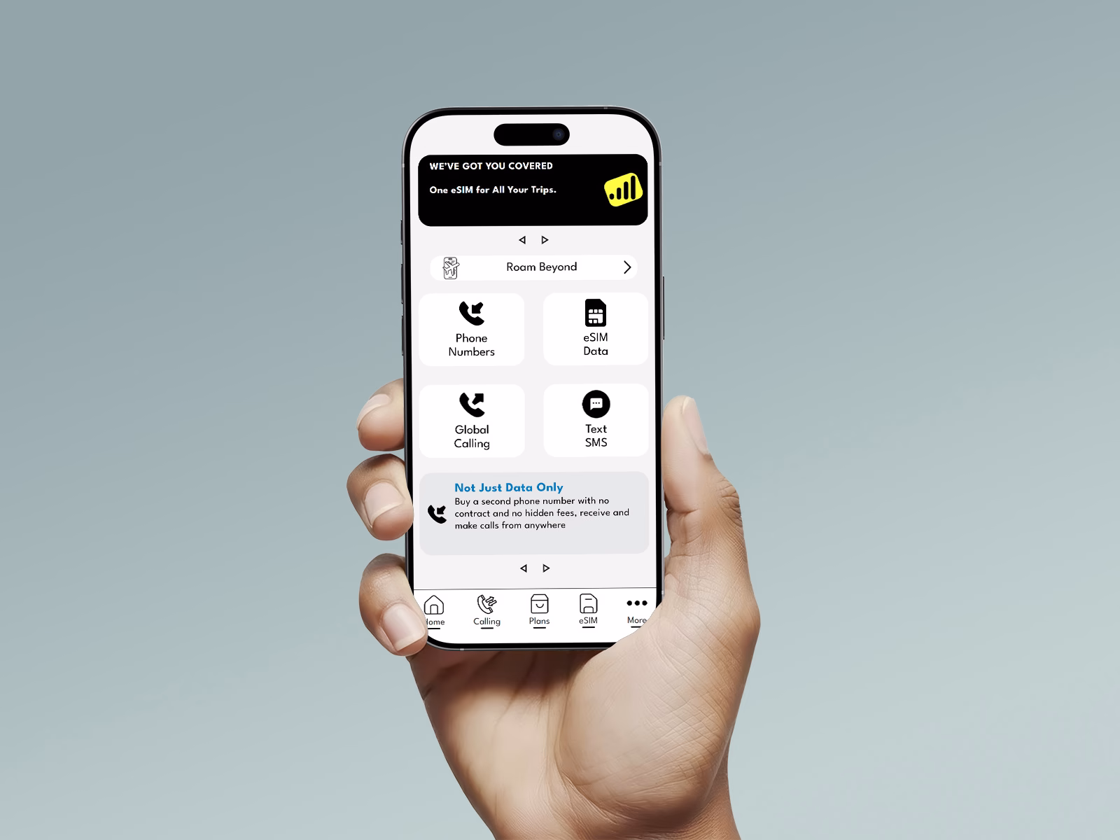 Geonet eSIM – project mockup