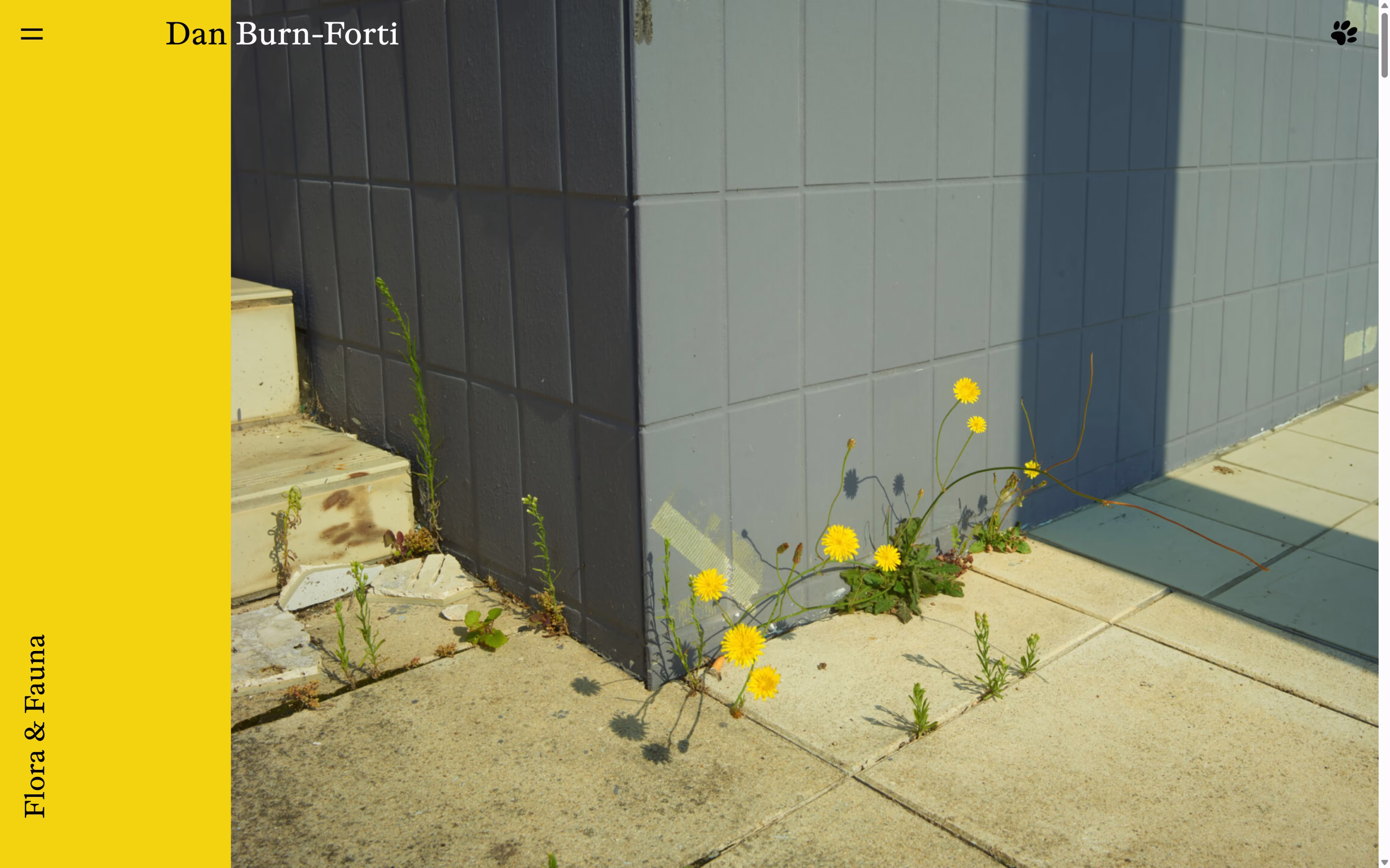 Dan Burn-Forti – screenshot 1